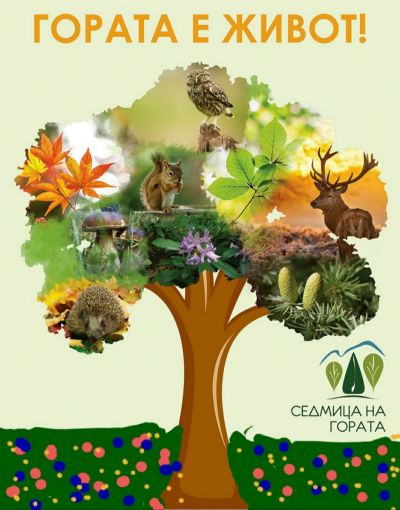 Седмица на гората - април 2020 - Средно училище Отец Паисий, Куклен