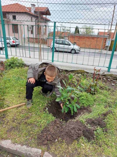 Отбелязване Седмицата на гората  11
