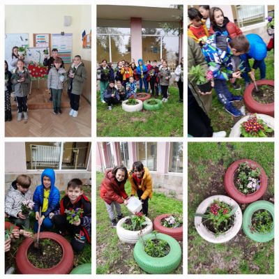 Отбелязване Седмицата на гората  17