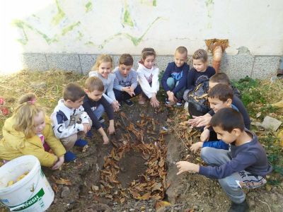 Дейност по Образователна програма "Нестле за по-здрави деца" 3