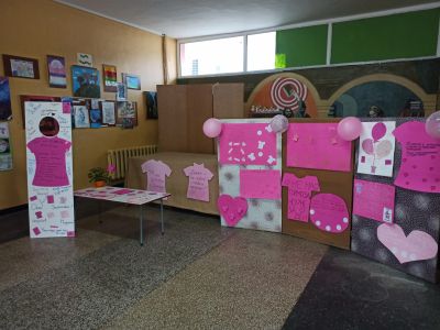 Училищен кръг на викторина по БДП "Да запазим децата на пътя" 14