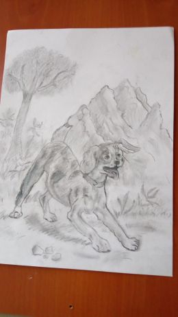 Изложба на Рафаела Панайотова 8 - Средно училище Отец Паисий, Куклен